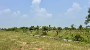 Sai Ram Farm Lands