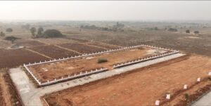 Looking for Plots Near ORR?